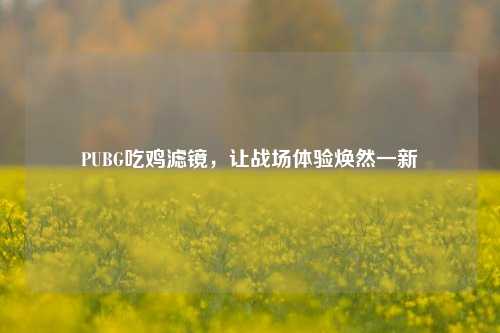 PUBG吃鸡滤镜，让战场体验焕然一新