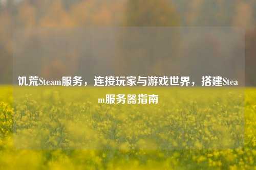 饥荒Steam服务,连接玩家与游戏世界,搭建Steam服务器指南