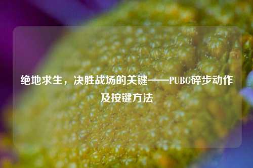 绝地求生,决胜战场的关键——PUBG碎步动作及按键方法