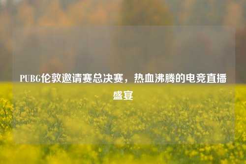PUBG伦敦邀请赛总决赛,热血沸腾的电竞直播盛宴
