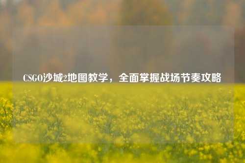 CSGO沙城2地图教学,全面掌握战场节奏攻略