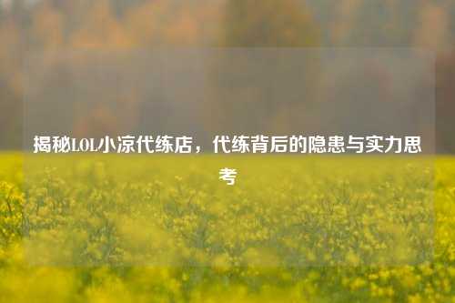 揭秘LOL小凉代练店,代练背后的隐患与实力思考