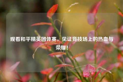 观看和平精英团体赛,见证竞技场上的热血与荣耀!