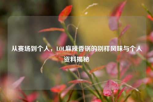从赛场到个人,LOL麻辣香锅的别样风味与个人资料揭秘