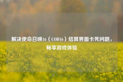 解决使命召唤16(COD16)结算界面卡死问题,畅享游戏体验