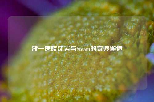 浙一医院沈岩与Steam的奇妙邂逅