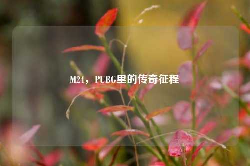 M24，PUBG里的传奇征程