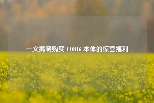 一文揭晓购买 COD16 本体的惊喜福利