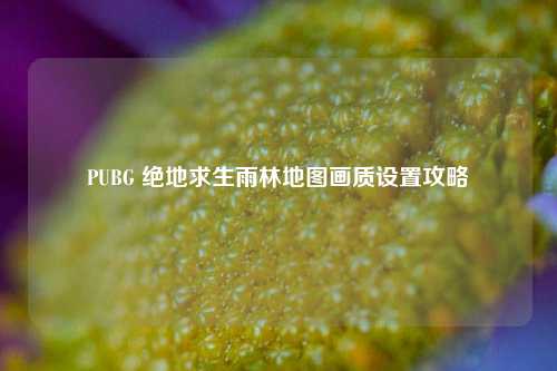 PUBG 绝地求生雨林地图画质设置攻略