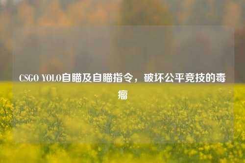 CSGO YOLO自瞄及自瞄指令，破坏公平竞技的毒瘤