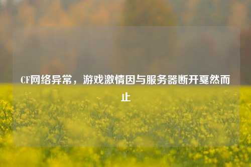 CF网络异常,游戏激情因与服务器断开戛然而止