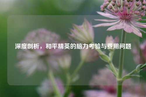 深度剖析,和平精英的脑力考验与费用问题