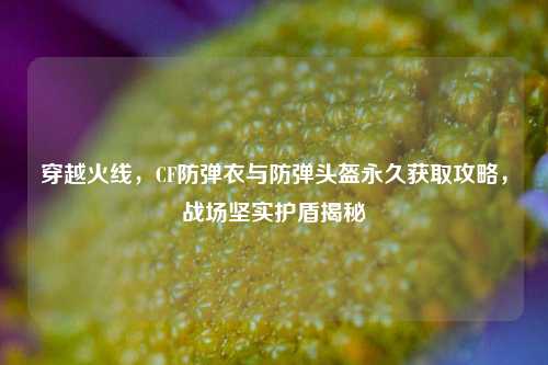 穿越火线，CF防弹衣与防弹头盔永久获取攻略，战场坚实护盾揭秘