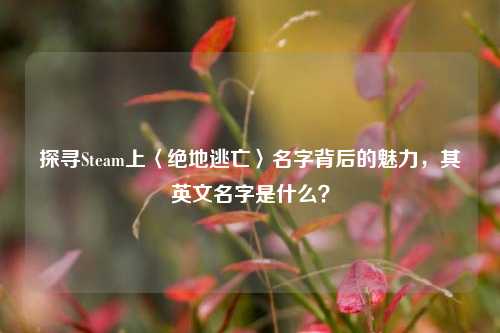 探寻Steam上〈绝地逃亡〉名字背后的魅力,其英文名字是什么?