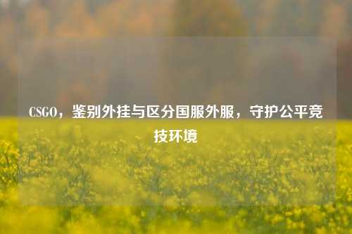 CSGO，鉴别外挂与区分国服外服，守护公平竞技环境
