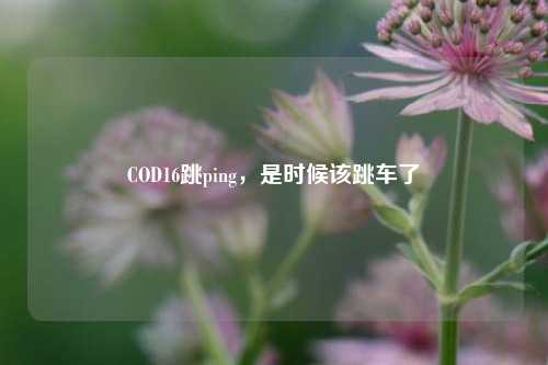 COD16跳ping，是时候该跳车了