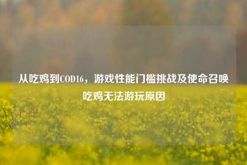 从吃鸡到COD16,游戏性能门槛挑战及使命召唤吃鸡无法游玩原因