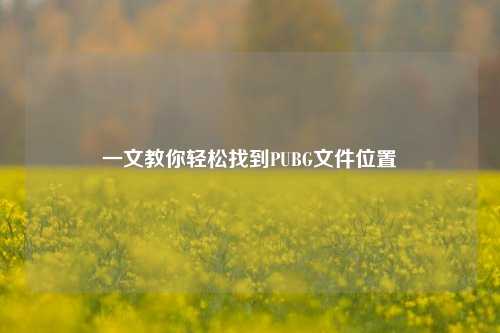 一文教你轻松找到PUBG文件位置