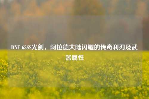 DNF 65SS光剑,阿拉德大陆闪耀的传奇利刃及武器属性