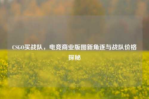 CSGO买战队,电竞商业版图新角逐与战队价格探秘