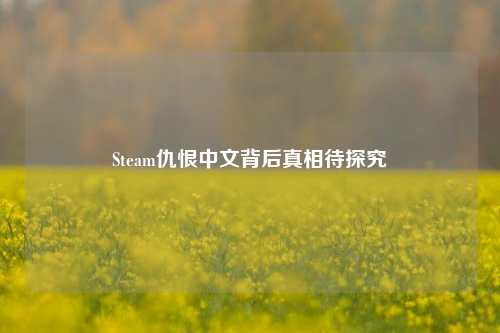 Steam仇恨中文背后真相待探究