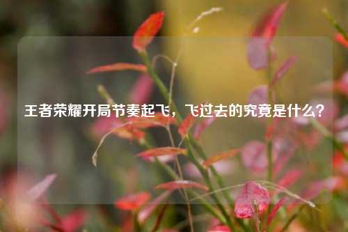 王者荣耀开局节奏起飞,飞过去的究竟是什么?