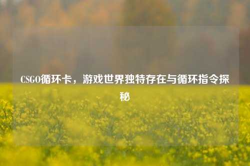 CSGO循环卡,游戏世界独特存在与循环指令探秘