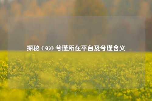 探秘 CSGO 兮瑾所在平台及兮瑾含义