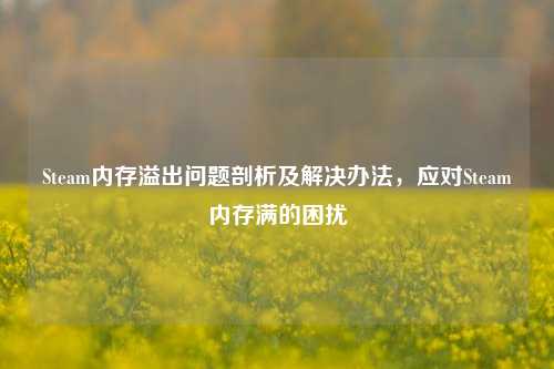 Steam内存溢出问题剖析及解决办法,应对Steam内存满的困扰
