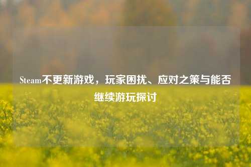 Steam不更新游戏,玩家困扰、应对之策与能否继续游玩探讨