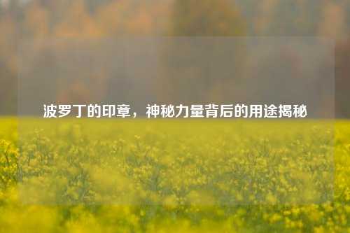 波罗丁的印章，神秘力量背后的用途揭秘