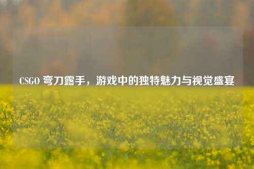 CSGO 弯刀露手，游戏中的独特魅力与视觉盛宴