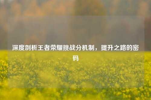 深度剖析王者荣耀挑战分机制,提升之路的密码