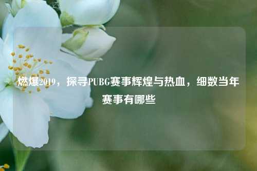 燃爆2019,探寻PUBG赛事辉煌与热血,细数当年赛事有哪些