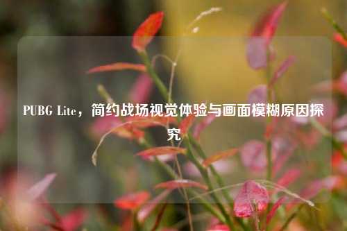 PUBG Lite，简约战场视觉体验与画面模糊原因探究