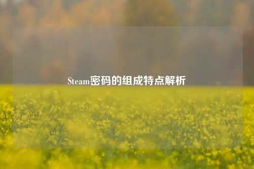 Steam密码的组成特点解析