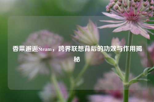 香菜邂逅Steam,跨界联想背后的功效与作用揭秘