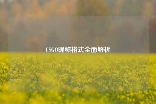 CSGO昵称格式全面解析