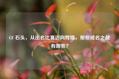 CF 石头,从出名比赛迈向辉煌,那些成名之战有哪些?