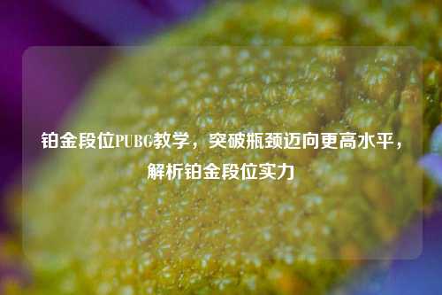 铂金段位PUBG教学,突破瓶颈迈向更高水平,解析铂金段位实力
