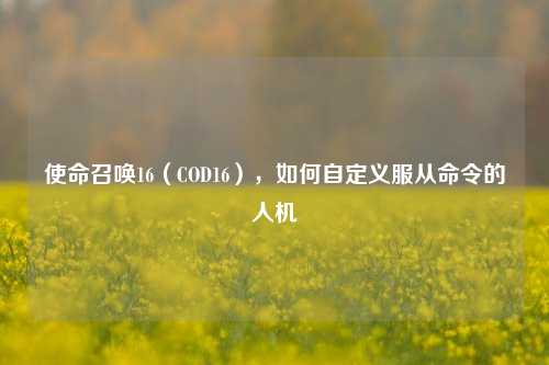 使命召唤16(COD16),如何自定义服从命令的人机