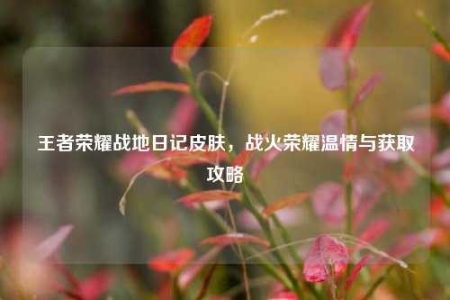 王者荣耀战地日记皮肤，战火荣耀温情与获取攻略