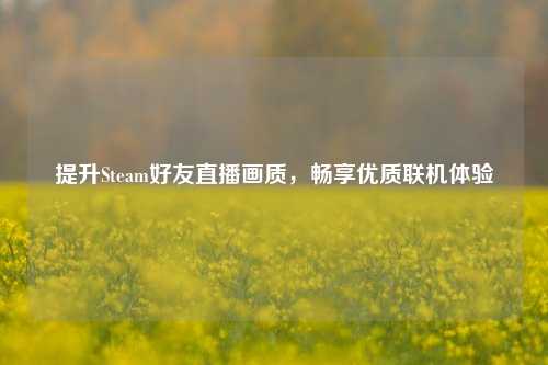 提升Steam好友直播画质,畅享优质联机体验