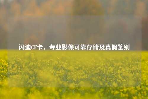 闪迪CF卡,专业影像可靠存储及真假鉴别
