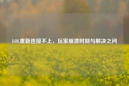LOL重新连接不上，玩家崩溃时刻与解决之问