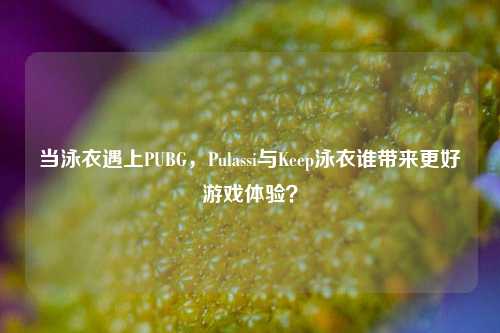 当泳衣遇上PUBG，Pulassi与Keep泳衣谁带来更好游戏体验？