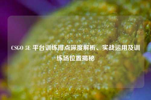 CSGO 5E 平台训练排点深度解析、实战运用及训练场位置揭秘