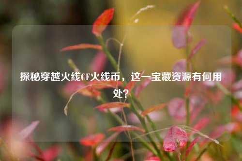 探秘穿越火线CF火线币,这一宝藏资源有何用处?