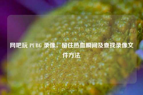 网吧玩 PUBG 录像,留住热血瞬间及查找录像文件方法