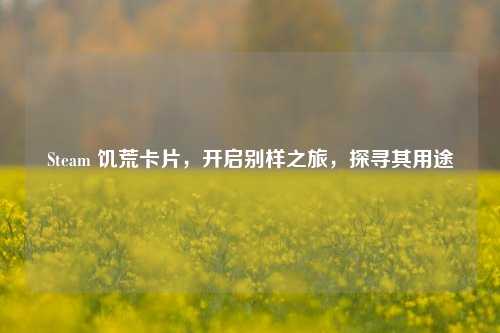 Steam 饥荒卡片,开启别样之旅,探寻其用途